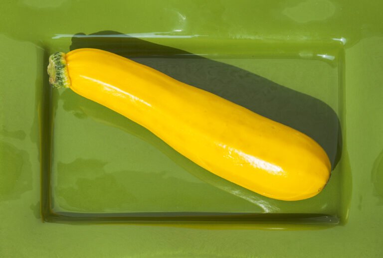 Nährstoffmangel bei Plants: Symptome erkennen and correctly handeln