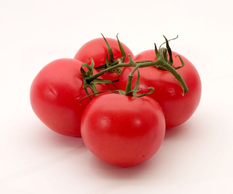 Plants teilen and Offshoots nehmen: Propagation without Schere