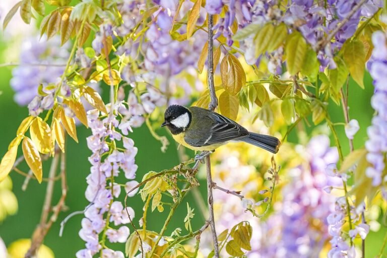 Flüssigdünger vs. Langzeitdünger – Was ist besser for your Plants?