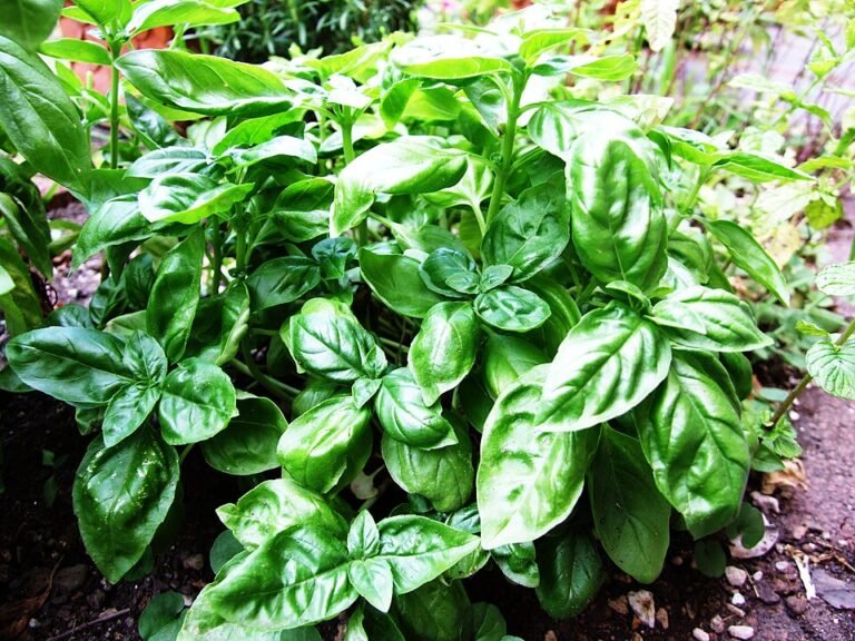 Smart Garden Bewässerung – Vernetzte Systeme for die moderne Plant Care