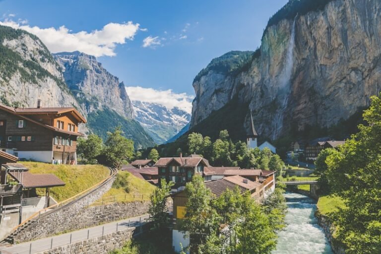 Gießfehler erkennen and beheben: Was tun bei zu viel oder zu wenig Wasser?