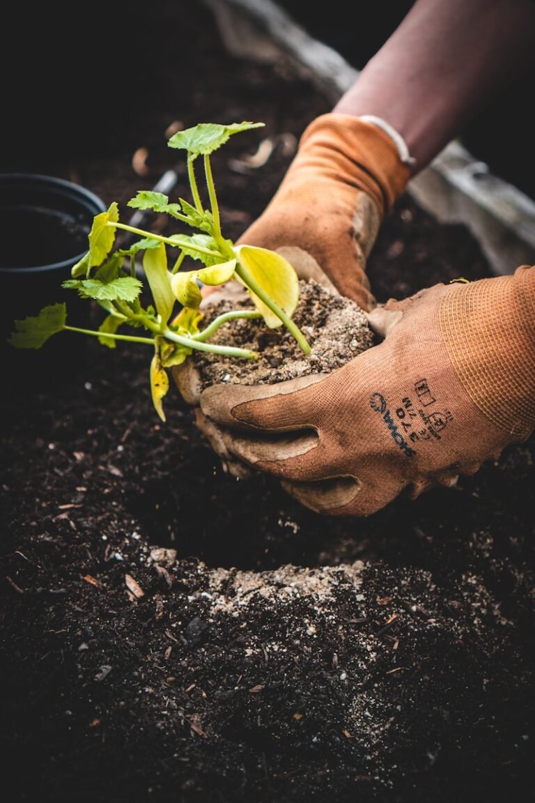 Bienenfreundliche Plants — 15 Arten die Bienen and Hummeln lieben