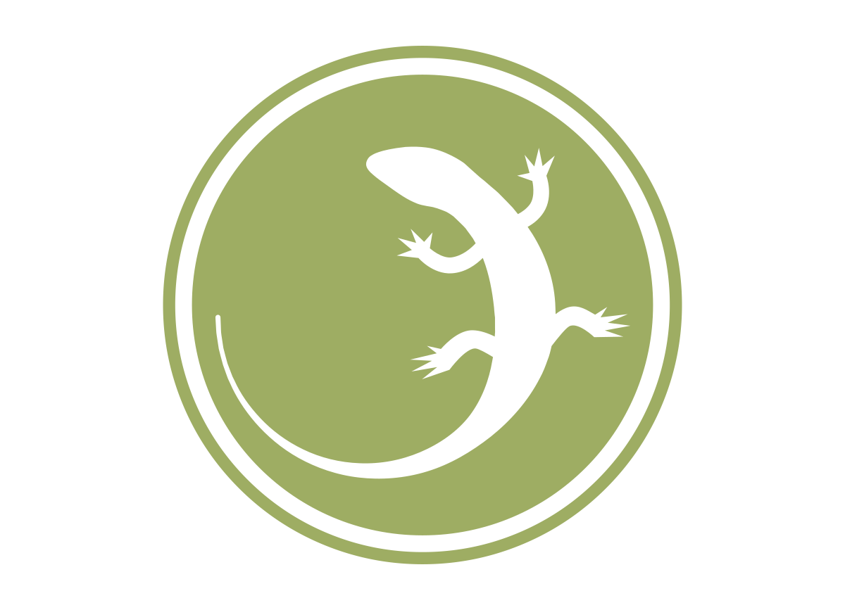 Plantgecko