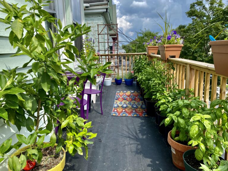 Lush container garden on an apartment balcony