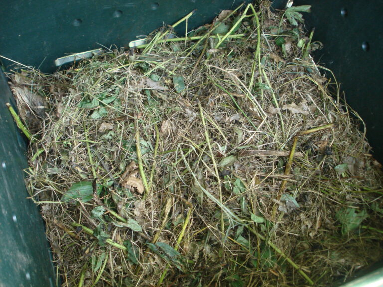 Compost pile with decomposing organic materials