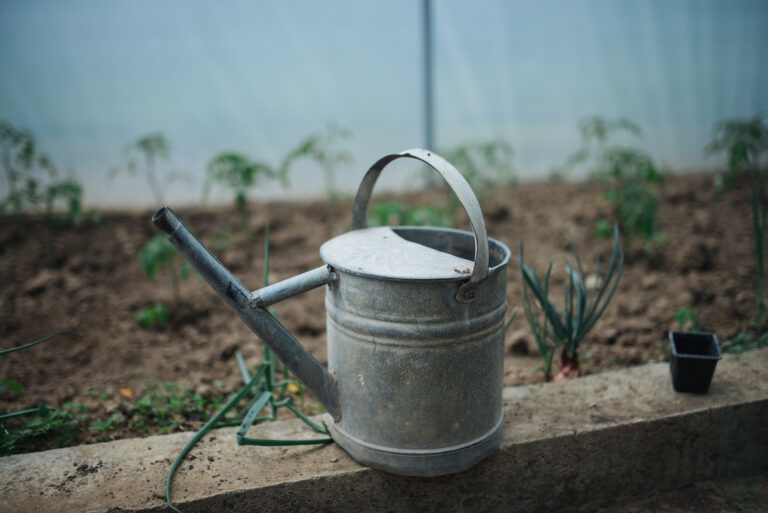 Metal watering can used for watering plants