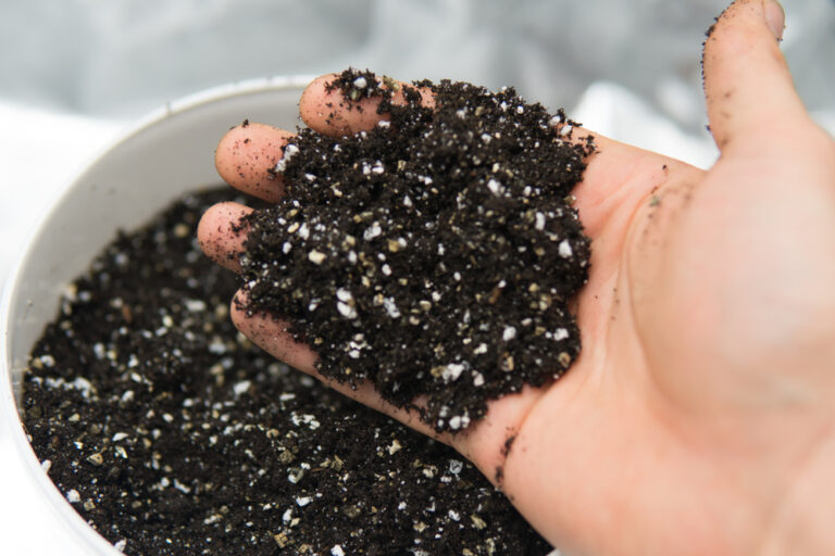 Potting soil mix used for indoor plants