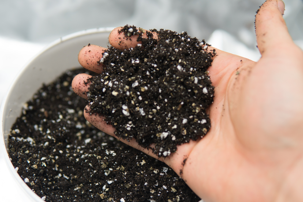 Potting soil mix used for indoor plants