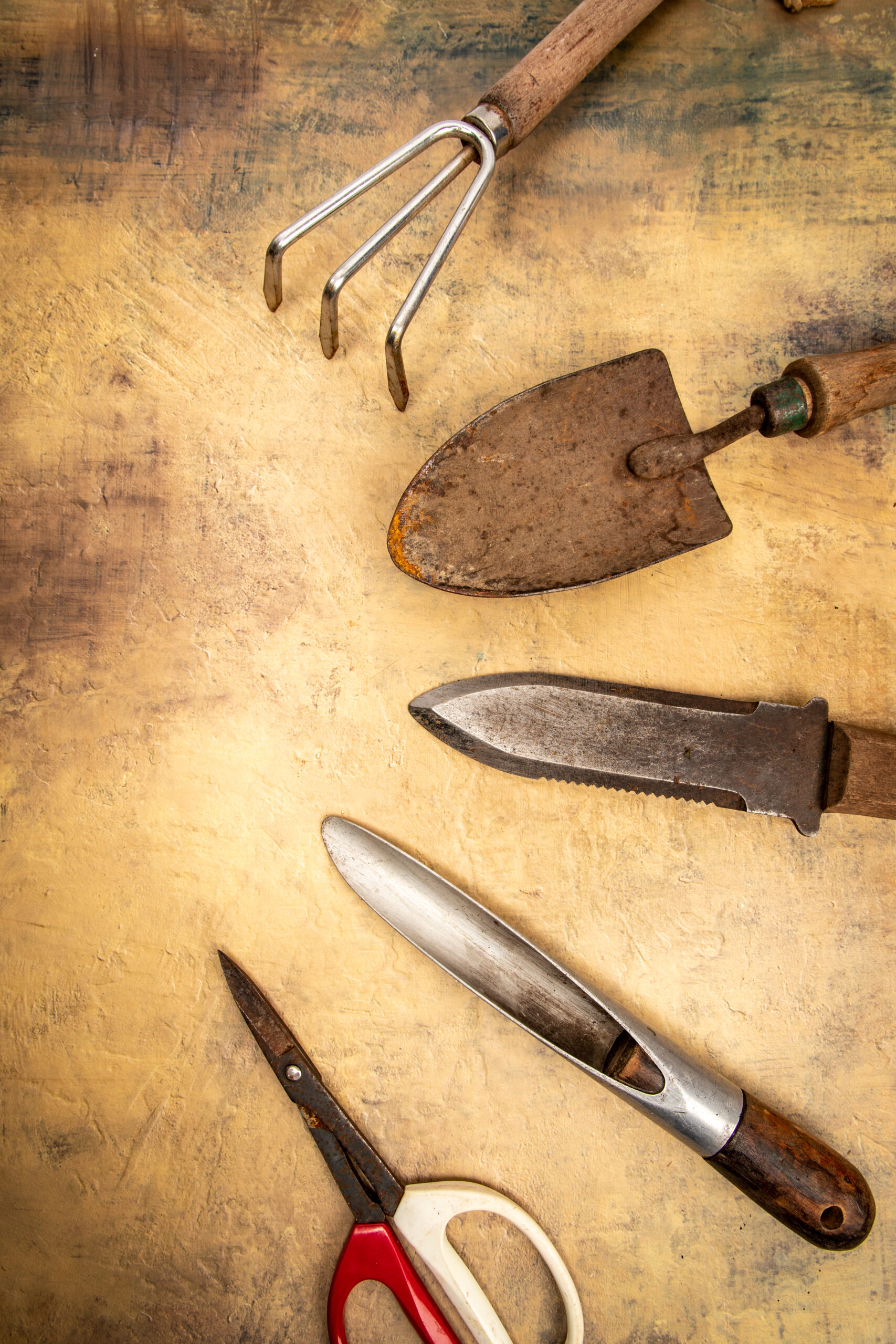 Flat lay of essential garden hand tools including a cultivator fork, trowel, hori-hori knife, and pruning shears
