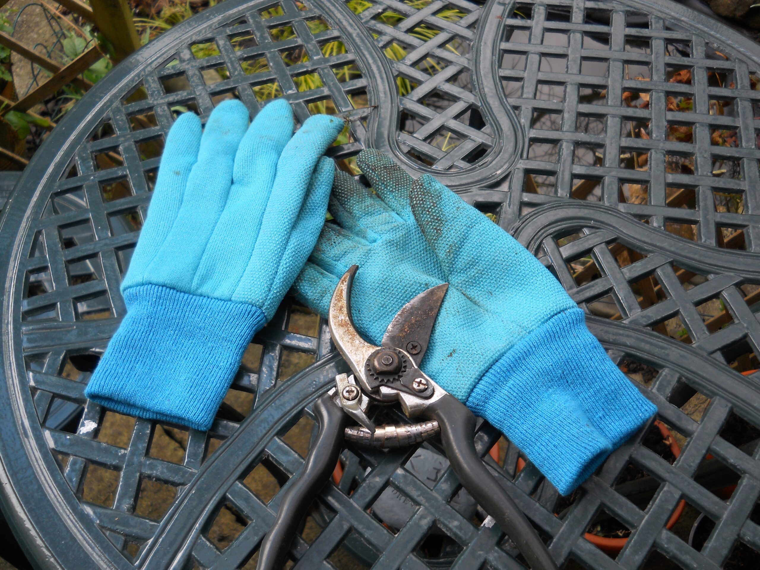 A pair of gardening gloves with pruning secateurs hand pruners
