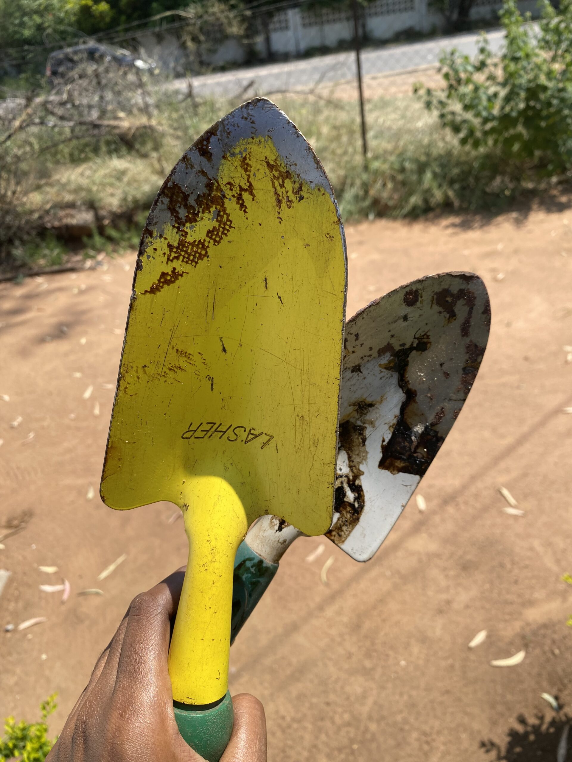 Hand trowels used for transplanting seedlings and repotting plants