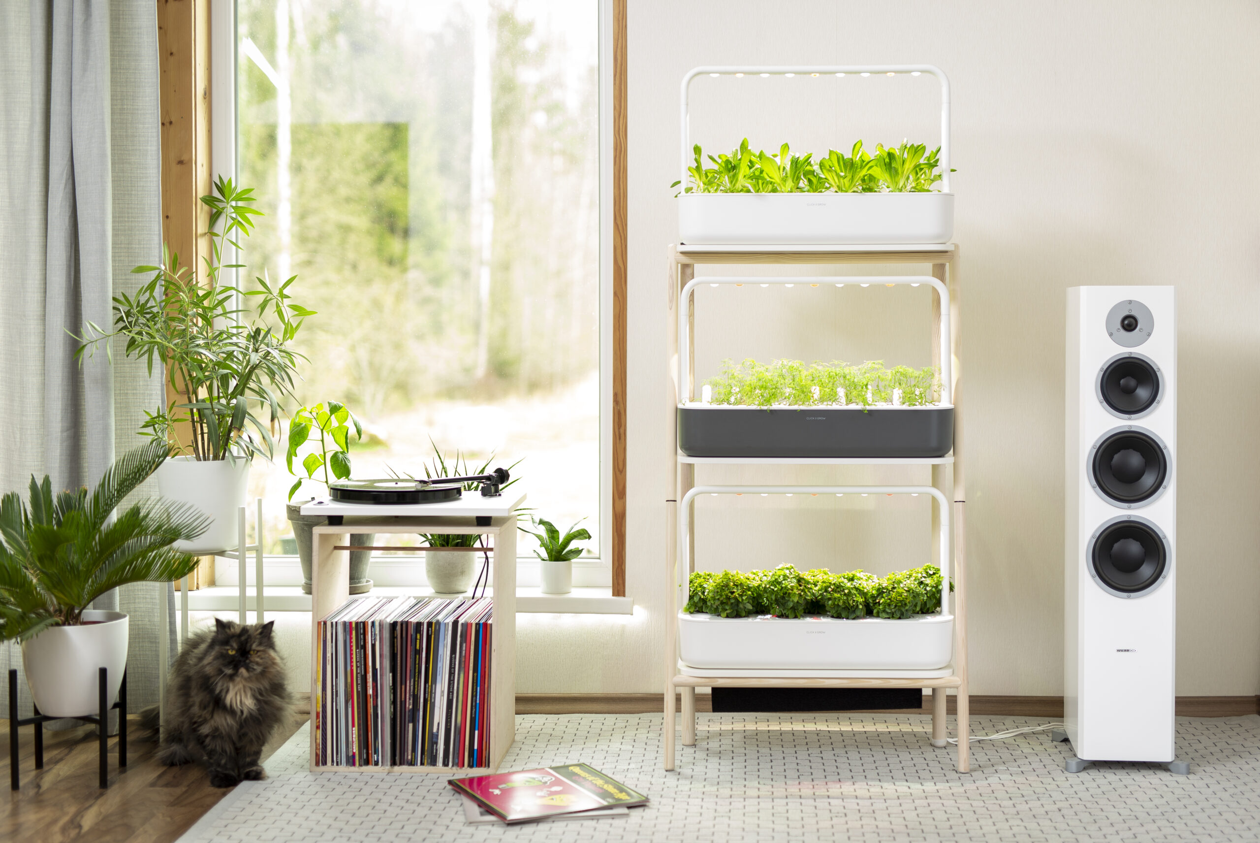 Multi-tier indoor smart garden with LED grow lights growing seedlings