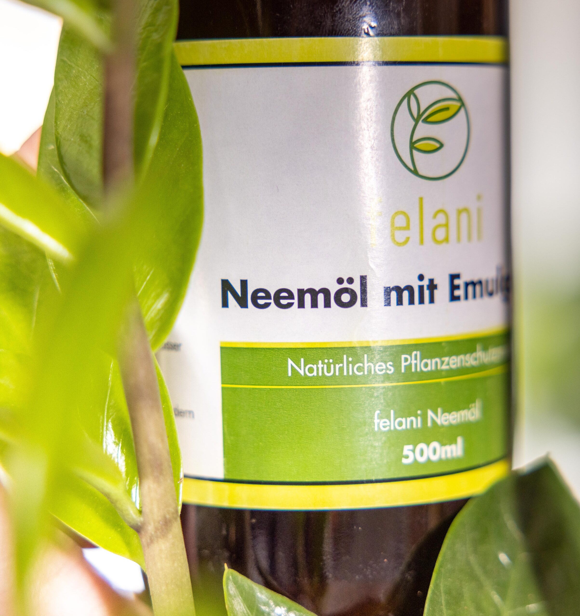Bottle of neem oil, a natural pesticide used for biological pest control on houseplants