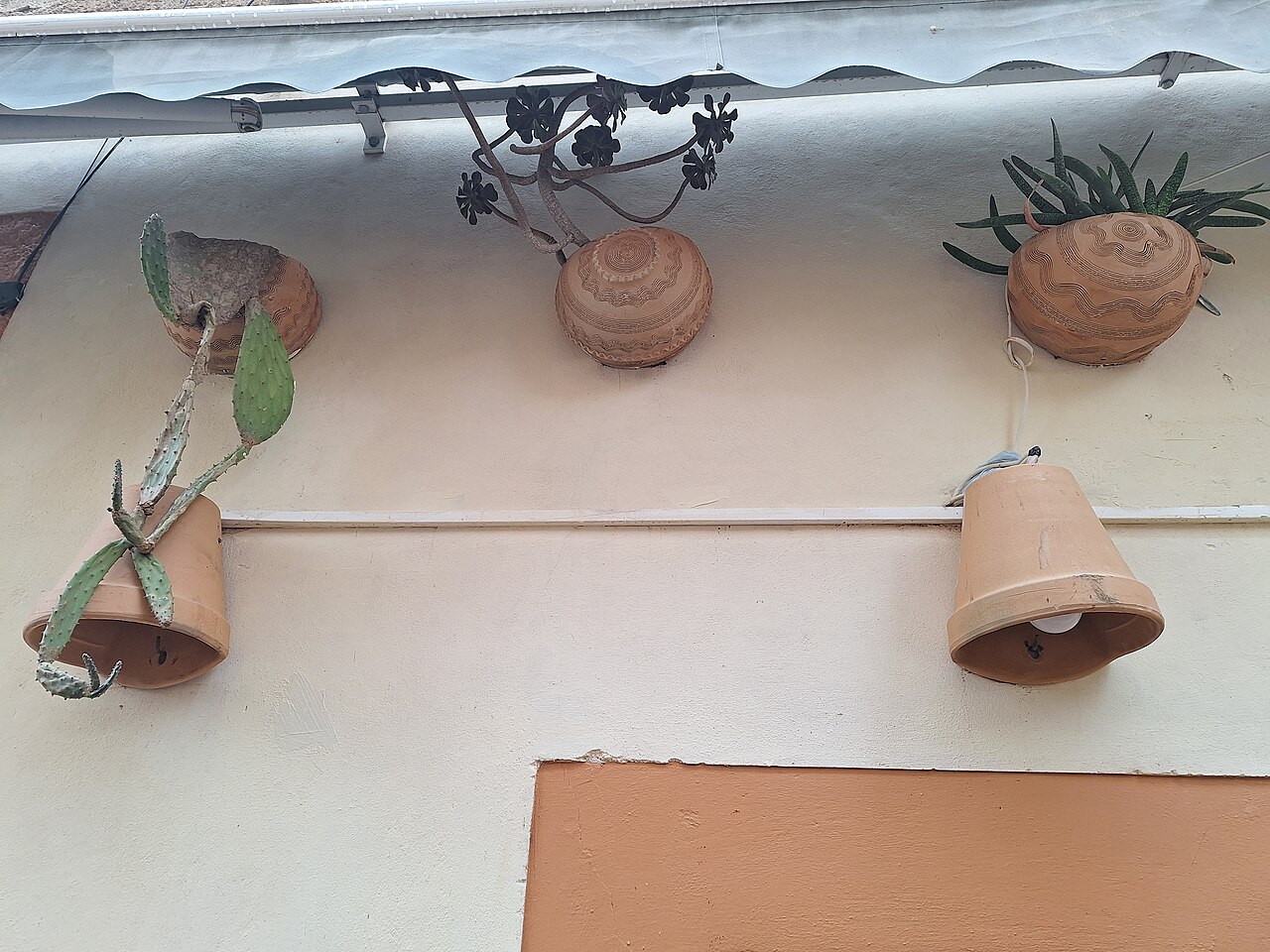 Terracotta plant pot