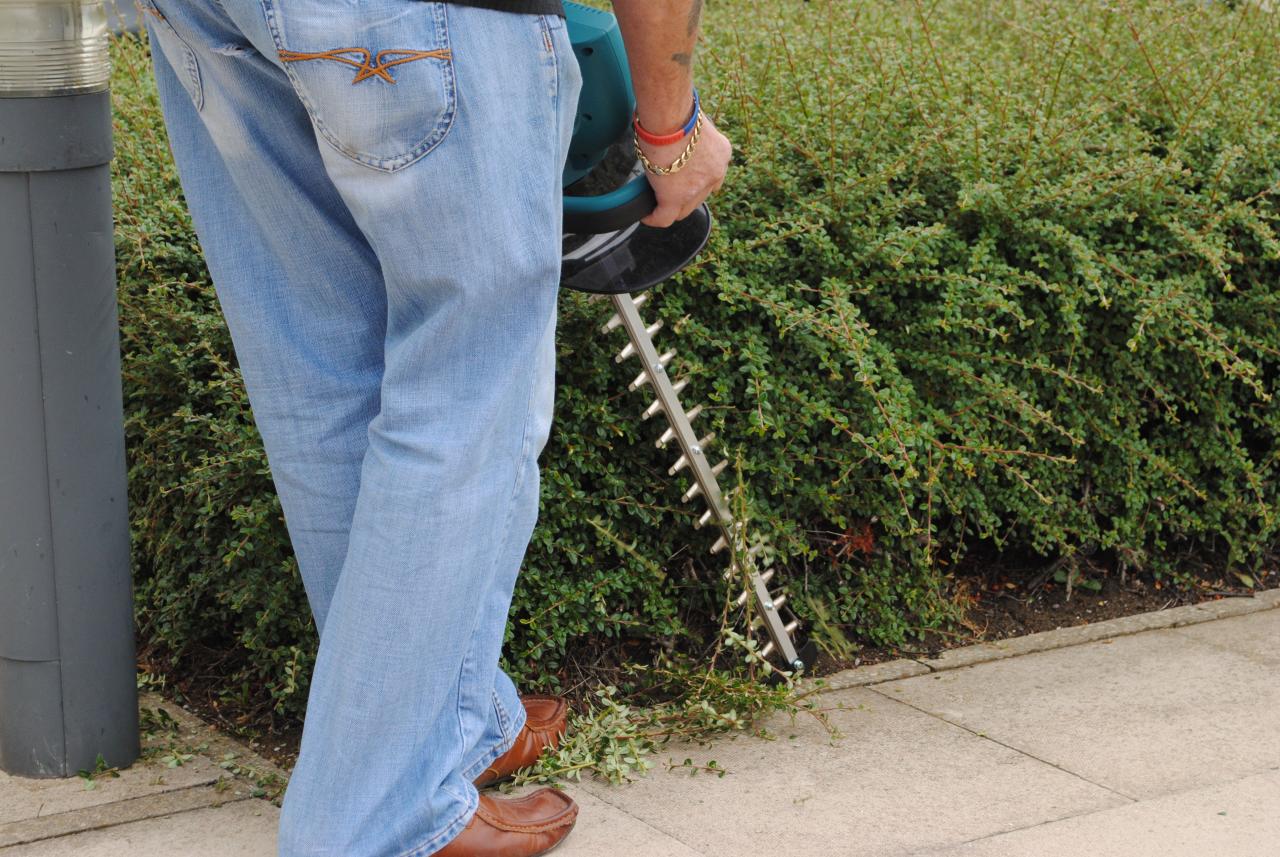 Electric hedge trimmer