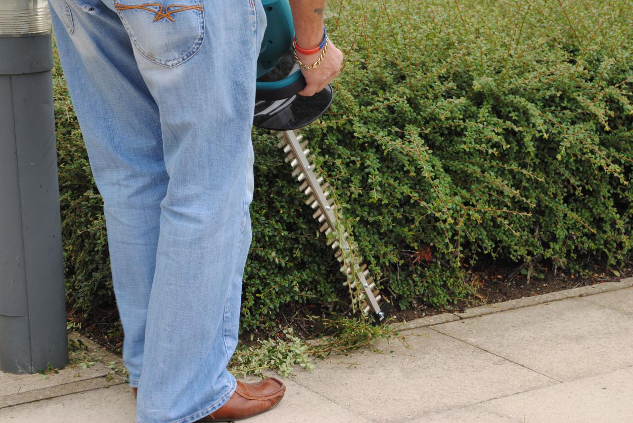 Electric hedge trimmer