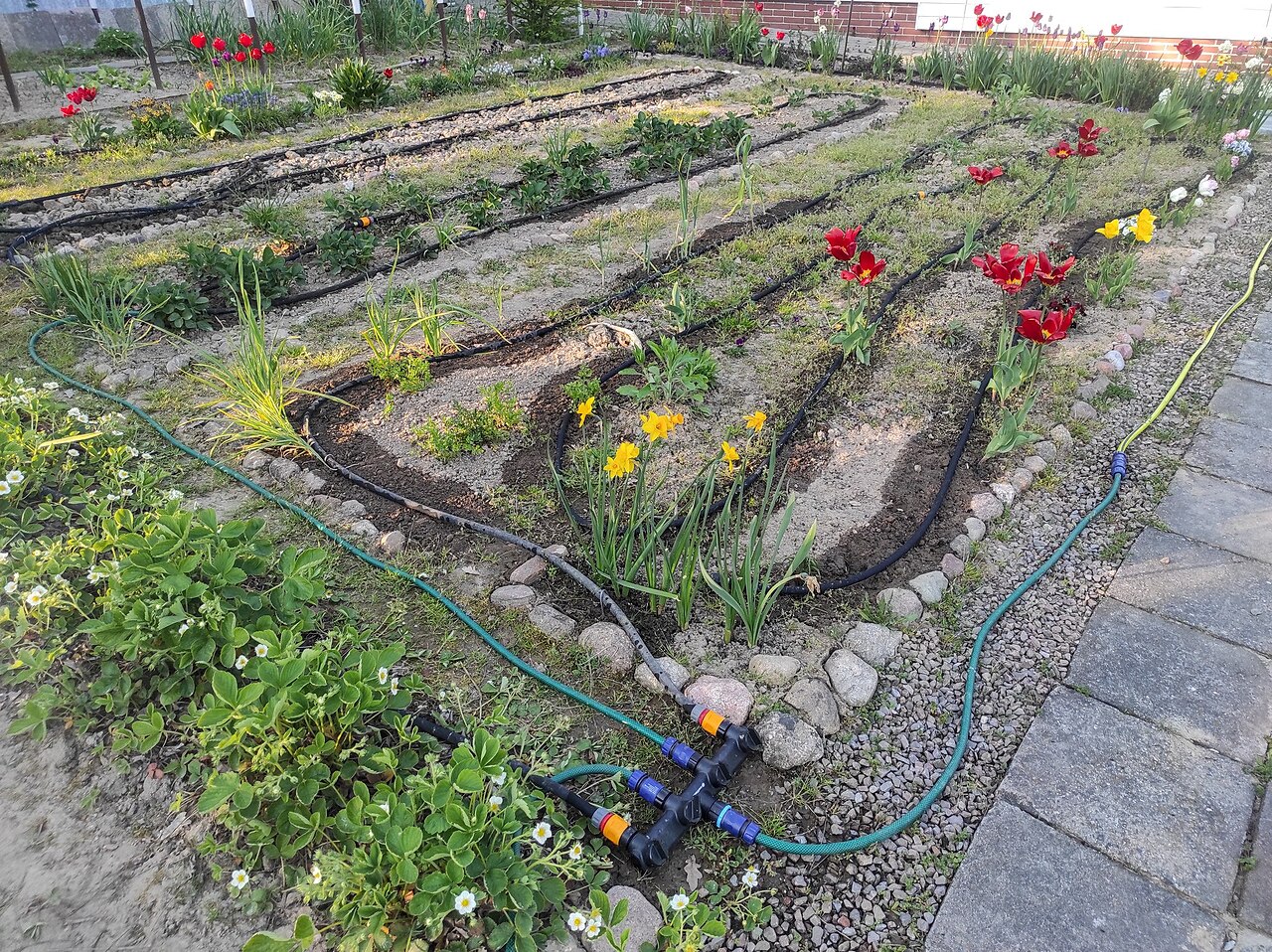 Automatic irrigation system