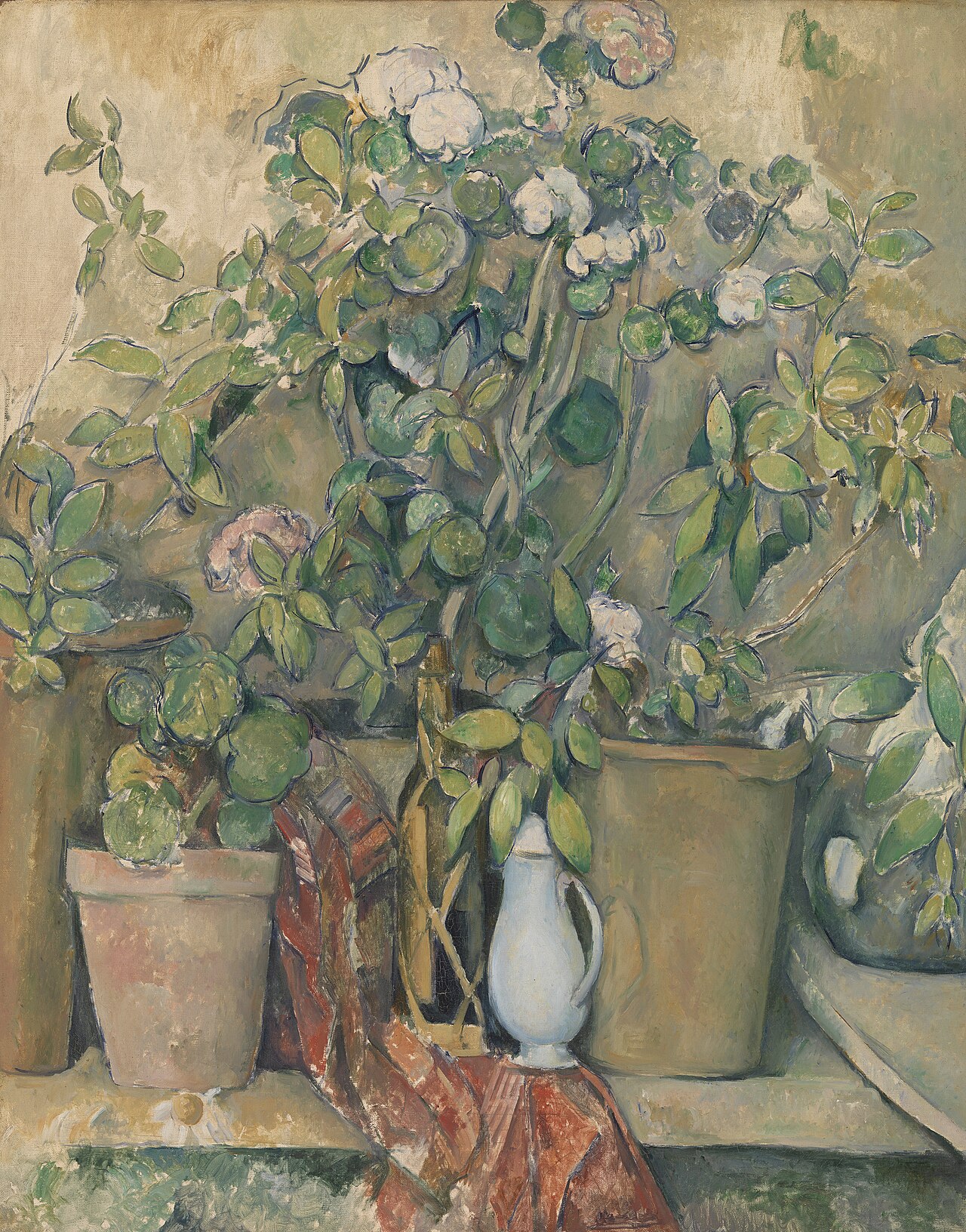 Terracotta plant pot