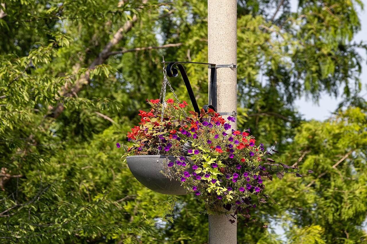 Planter / cachepot