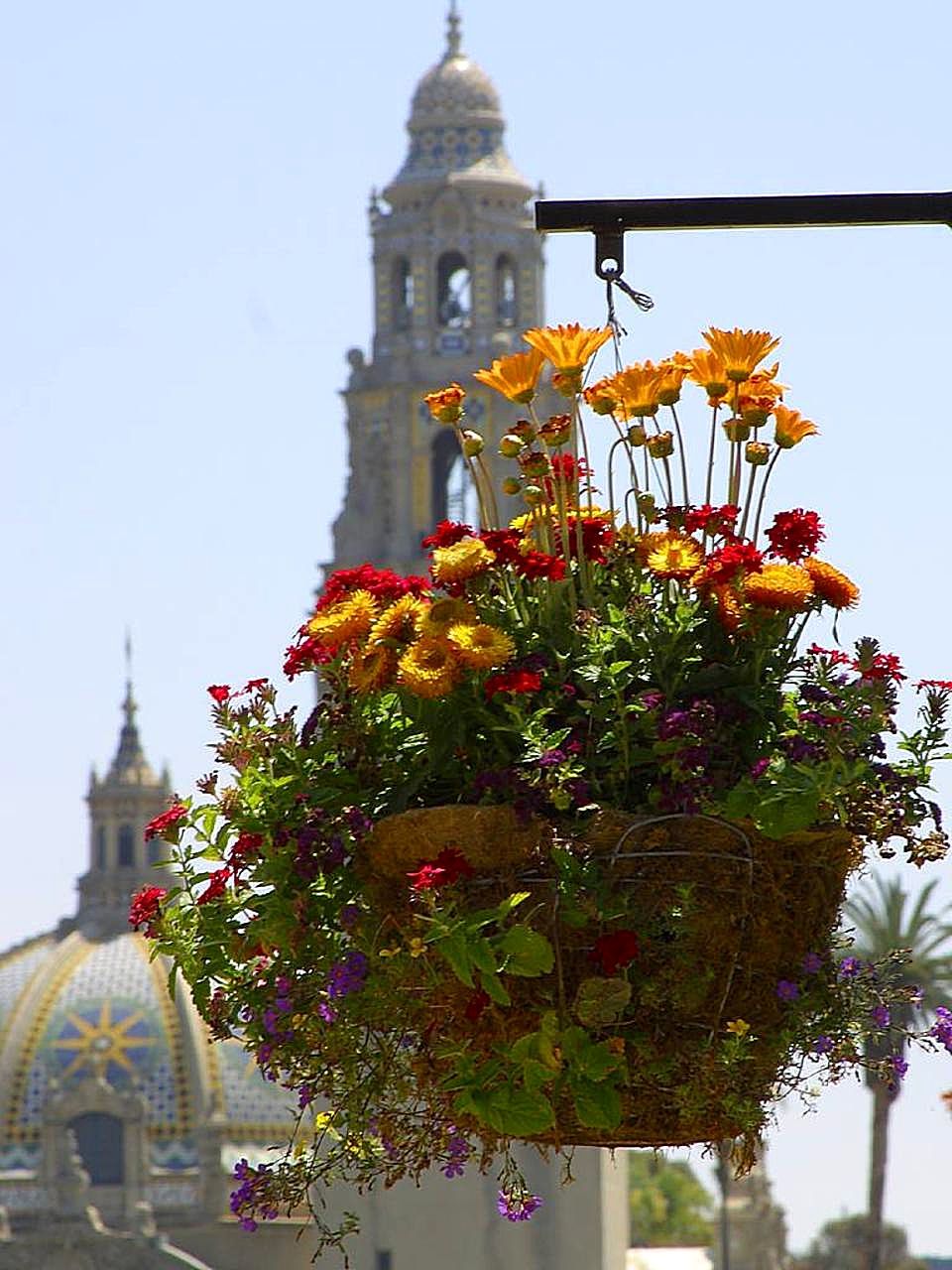 Planter / cachepot