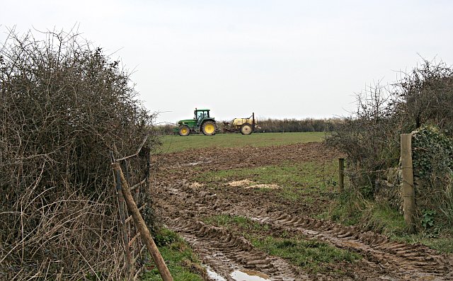 Liquid fertilizer