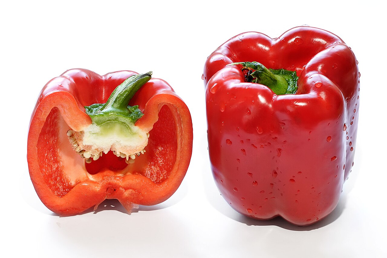 Bell pepper plant