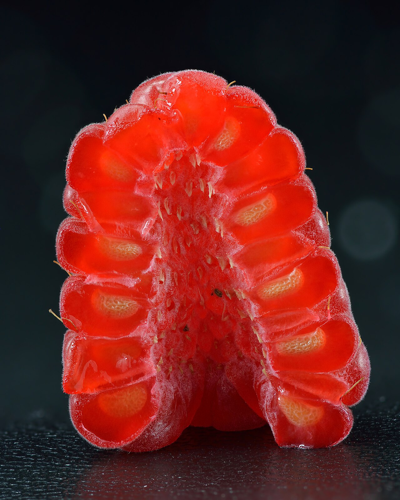 Raspberry bush