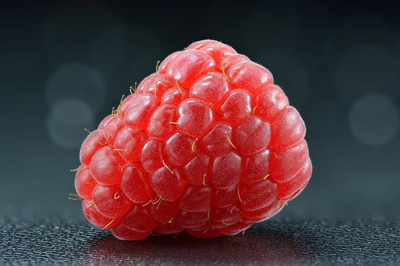 Raspberry bush