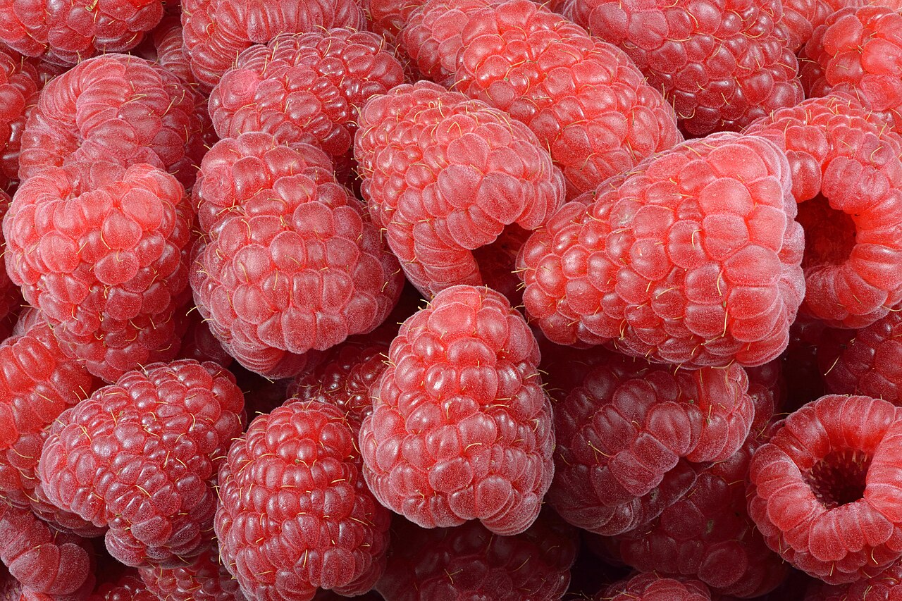 Raspberry bush