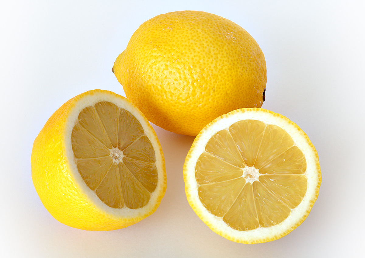 Lemon tree (Citrus limon)