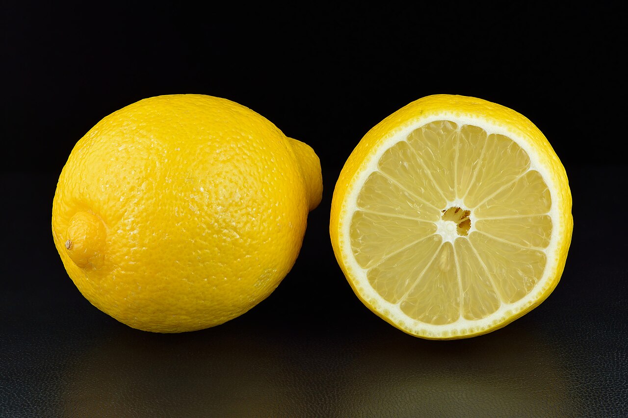 Lemon tree (Citrus limon)