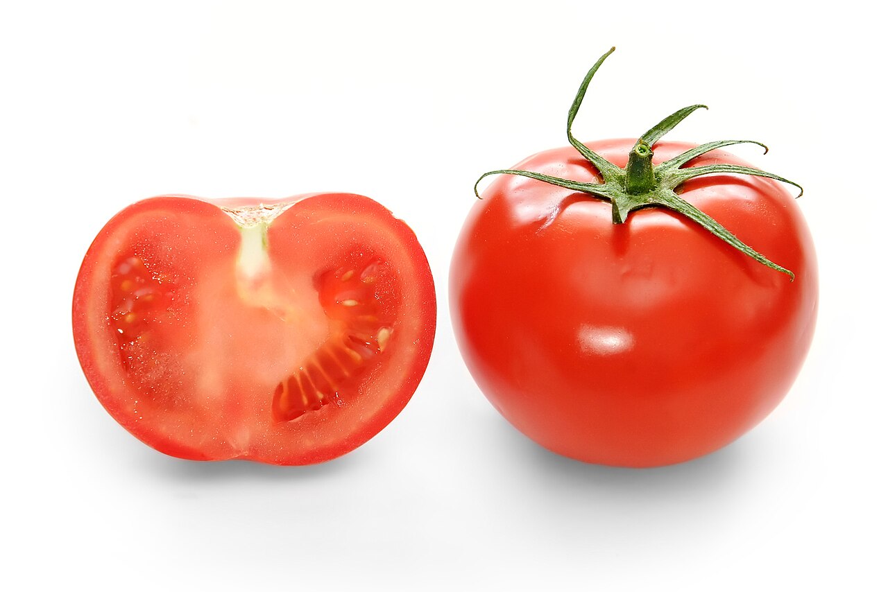 Tomato plant