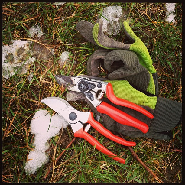 Red-handled pruning shears resting on gardening gloves outdoors