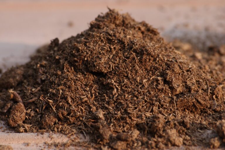 Pile of sphagnum peat moss, a common potting soil ingredient