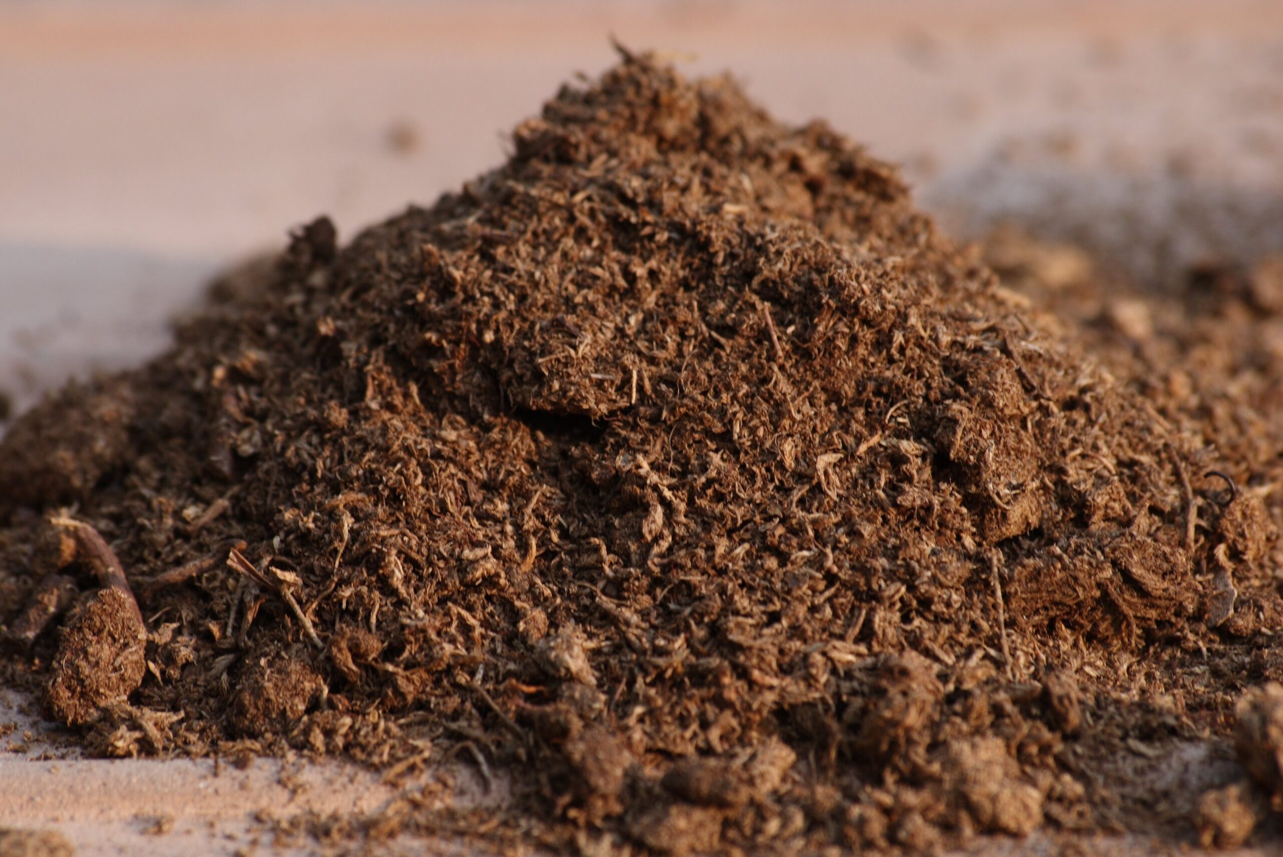 Pile of sphagnum peat moss, a common potting soil ingredient