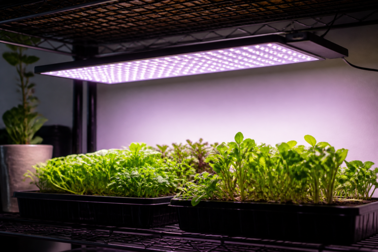 LED grow light panel mounted above a shelf of seedlings